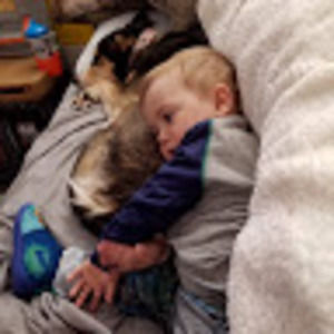 Meet your Posher, Annie